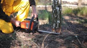 Best Commercial Tree Services  in Overland, MO